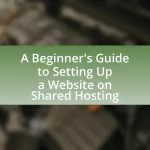 A Beginner’s Guide to Setting Up a Website on Shared Hosting