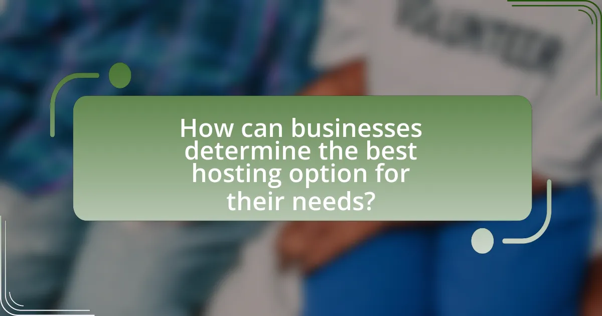 How can businesses determine the best hosting option for their needs?