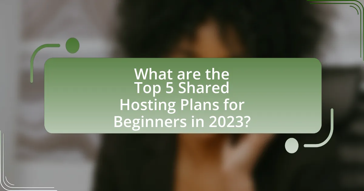 What are the Top 5 Shared Hosting Plans for Beginners in 2023?
