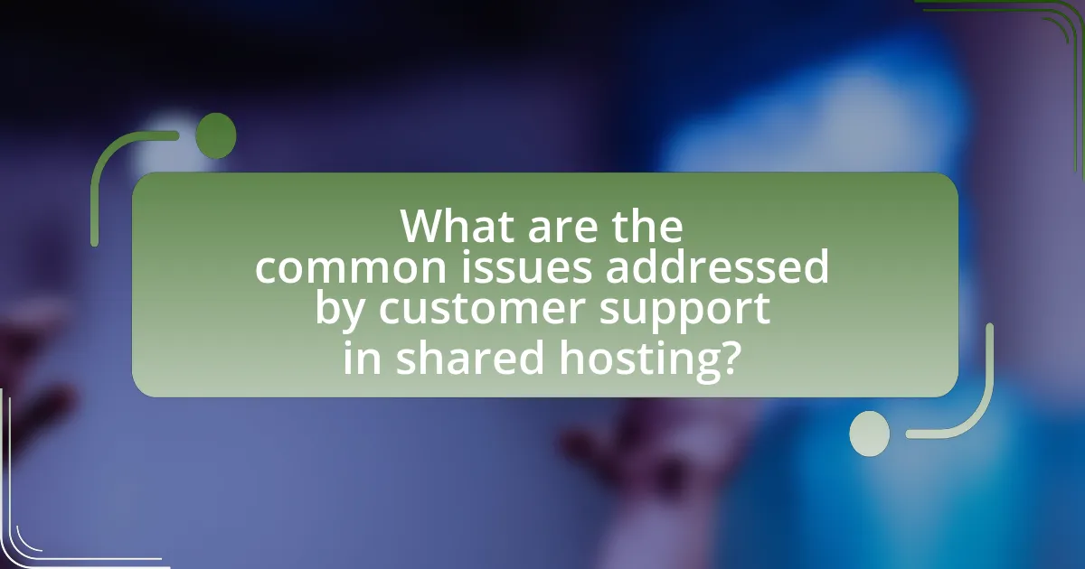 What are the common issues addressed by customer support in shared hosting?