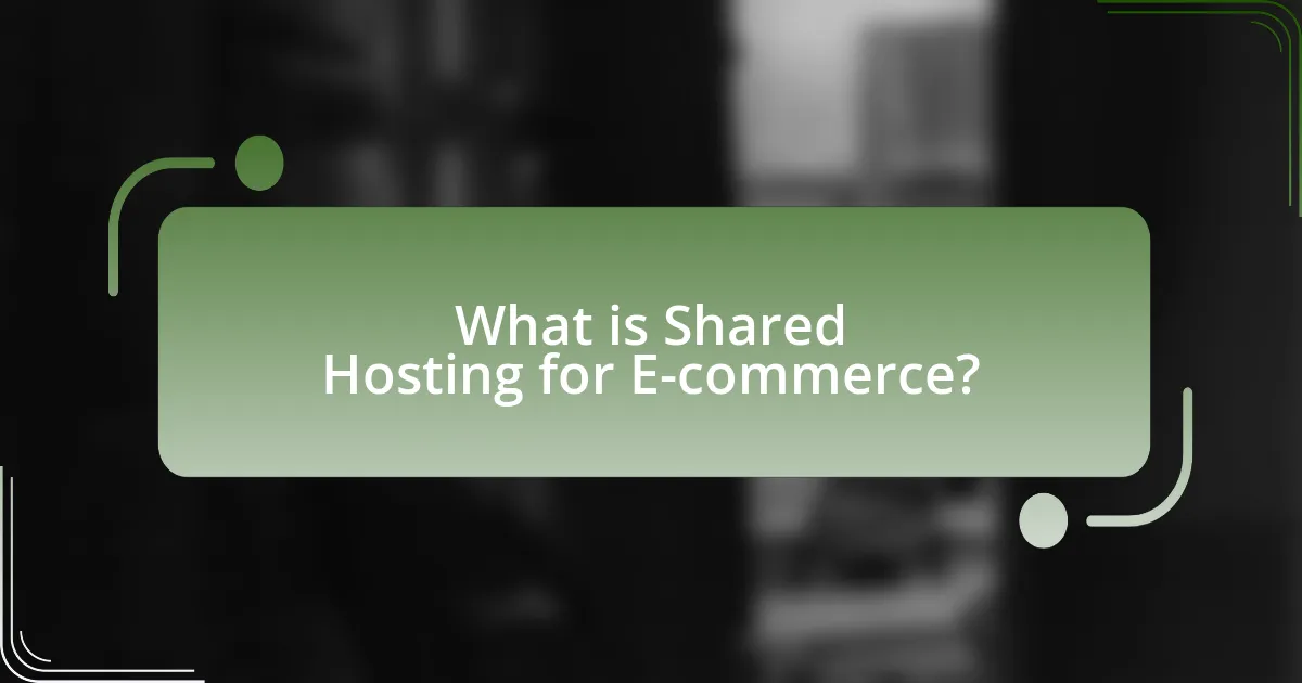 What is Shared Hosting for E-commerce?